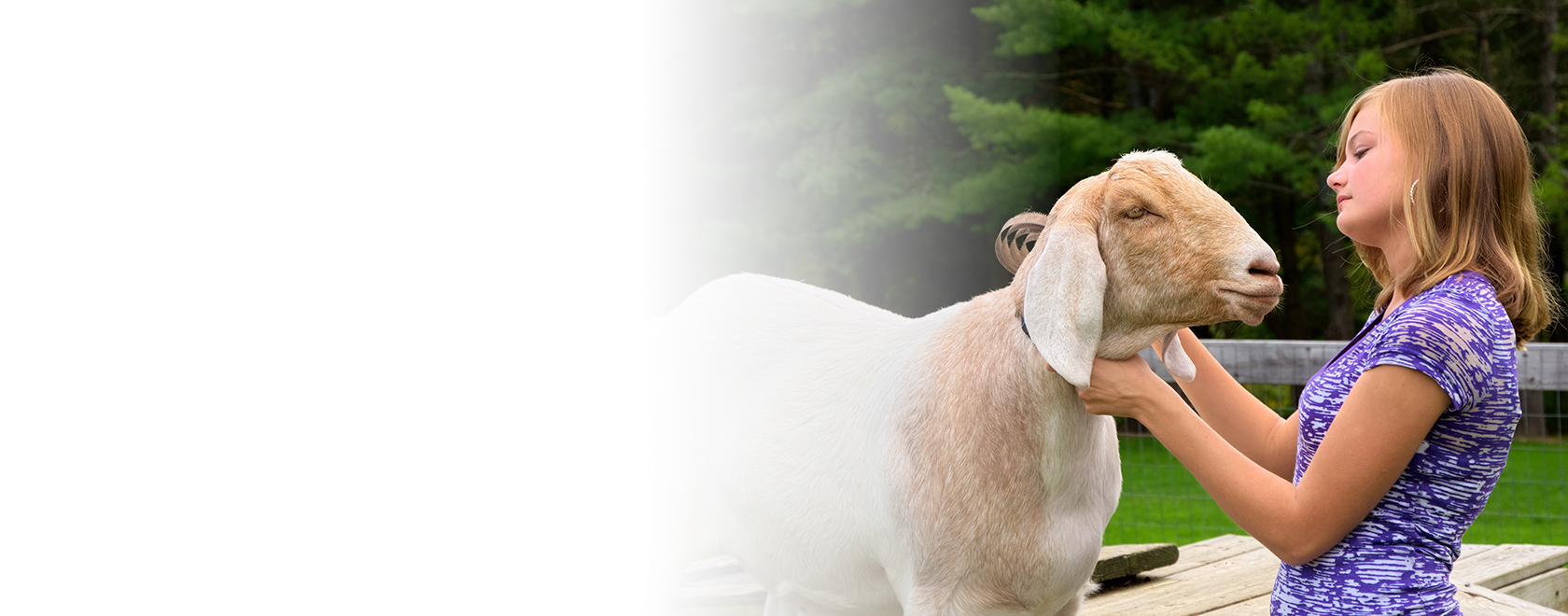 Teen girl showing goat at a show