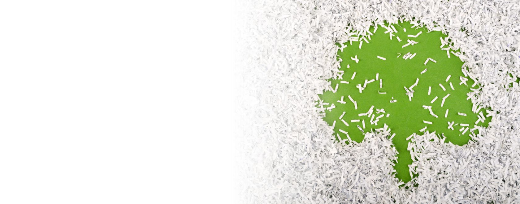 Shred Day 2026 with shredded paper and green tree